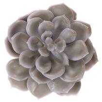 Article Kunstsucculentes en cire gris-vert 10cm Lot de 6
