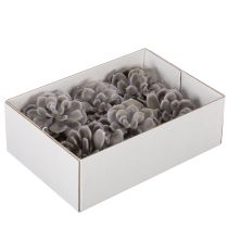 Article Kunstsucculentes en cire gris-vert 10cm Lot de 6