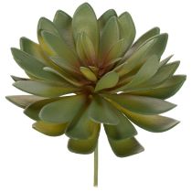 Article Plantes succulentes artificielles vertes 18 cm en lot de 3 pour la décoration intérieure