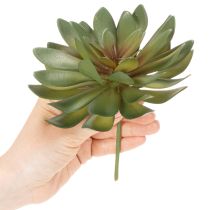 Article Lot de 3 succulentes artificielles vertes 18 cm pour décoration intérieure