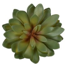Article Lot de 3 succulentes artificielles vertes 18 cm pour décoration intérieure