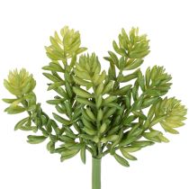 Article Fleurs succulentes artificielles pour une décoration facile d'entretien des espaces de vie et de bureau, 15 cm, lot de 5