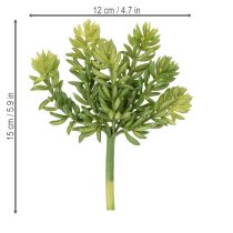 Article Fleurs succulentes artificielles pour une décoration facile d'entretien des espaces de vie et de bureau, 15 cm, lot de 5