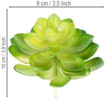 Article Kunstplantes succulentes vertes en ensemble de 4 pour décoration de vase ou bol, 10 cm