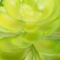 Article Kunstplantes succulentes vertes en ensemble de 4 pour décoration de vase ou bol, 10 cm