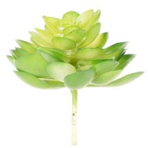 Article Kunstplantes succulentes vertes en ensemble de 4 pour décoration de vase ou bol, 10 cm