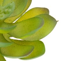 Article Kunstpflanze Sukkulente verte en plastique 9 cm pour décoration intérieure