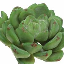 Succulente Echeveria verte artificielle H15cm