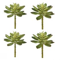 Plantes succulentes artificielles Plantes artificielles Vert Ø10cm 4 pcs