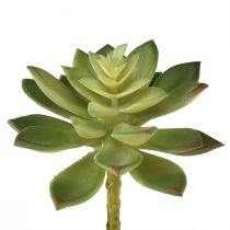 Article Plantes succulentes artificielles Plantes artificielles Vert Ø10cm 4 pcs