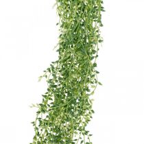 Article Plante succulente suspendue artificielle verte 96cm