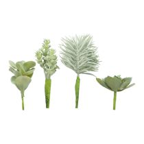 Article Plantes Vertes Artificielles Succulentes Vert Assorti 9-18.5cm 4pcs