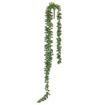 Article Guirlande suspendue en plante grasse artificielle, 80 cm