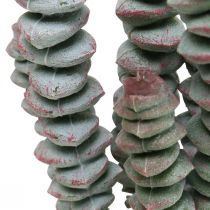 Succulente artificielle verte, rouge Plante artificielle à coller 19cm