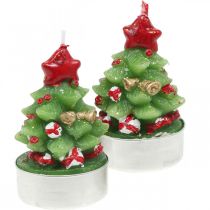 Bougies chauffe-plat Noël sapin H6.5cm 6pcs