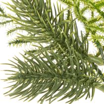 Article Branche de sapin artificielle en plastique vert 22 cm set de 2 pour décoration intérieure