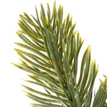 Article Branche de sapin artificielle verte 25 cm pour décoration hivernale, lot de 24