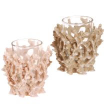Article Photophore décoration corail marron crème maritime H9cm 2pcs