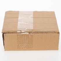 Article Assiettes rondes en céramique à motif kiwi, idéales pour la table à manger ou la cuisine, 16 cm, lot de 2