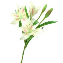 Lis tigré vert 47 cm