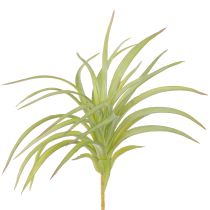 Article Plantes Artificielles Vertes Tillandsia avec Bâton Ø17cm 3 pcs
