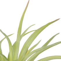 Article Plantes Artificielles Vertes Tillandsia avec Bâton Ø17cm 3 pcs