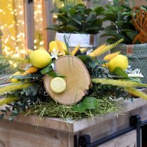 Nappe poids citron lime assorti 8pcs