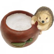 Article Jardinière, pomme avec hérisson, décoration d'automne, cache-pot, céramique Ø16cm H22cm L33cm