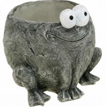 Porte-pot grenouille avec sourire gris 11x12cm