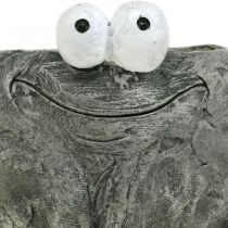 Porte-pot grenouille avec sourire gris 11x12cm
