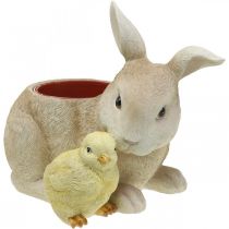 Décoration de Pâques à planter, lapin et poussin, printemps, cache-pot H24cm L30cm