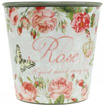 Article Jardinière, godet à planter, jardinière avec rosier H13cm Ø13.5cm