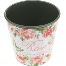 Article Jardinière, godet à planter, jardinière avec rosier H13cm Ø13.5cm