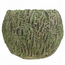 Article Cache-pot rond en béton style vintage, vert et brun Ø13cm