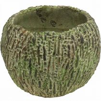 Article Jardinière en béton aspect antique vert, cache-pot marron rond Ø15,5cm