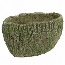 Article Jardinière béton ovale aspect antique vert, marron 24×14×13cm