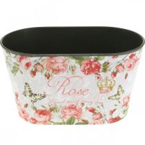 Article Pots décoratifs en plastique motif roses et papillons – Lot de 2