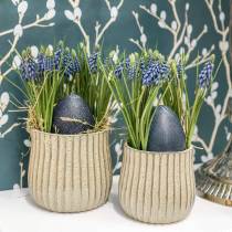 Article Jacinthes de raisin 28cm - 30cm Bleu 15 pcs