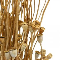 Article Capsules de Pavot Séchées Naturelles pour Décoration, 100g