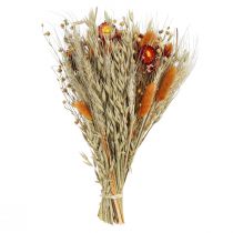 Article Fleurs séchées fleurs des champs bouquet fleurs paille orange L30cm