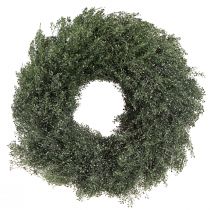 Article Couronne de fleurs séchées décoration lepidium métallisé vert Ø33cm