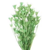 Article Fleurs séchées cumin noir nigelle verte 50cm 100g