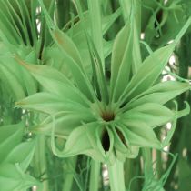 Article Fleurs séchées cumin noir nigelle verte 50cm 100g