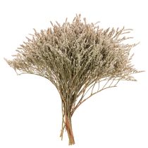 Article Fleurs séchées Statice naturel 1 kg