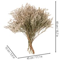 Article Fleurs séchées Statice naturel 1 kg