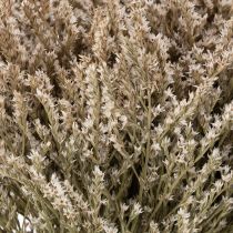 Article Fleurs séchées Statice naturel 1 kg