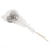 Article Fleurs séchées coupelles décoratives en forme de cloche sur tige gris 37cm 3 pcs