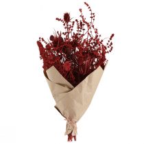 Article Bouquet de fleurs séchées, rouge vin, chardon décoratif, 40 cm, 80 g