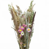 Article Bouquet de fleurs séchées herbe Phalaris paille fleurs rose 60cm 110g