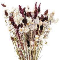Bouquet de fleurs séchées décoration estivale fleurs séchées 58cm